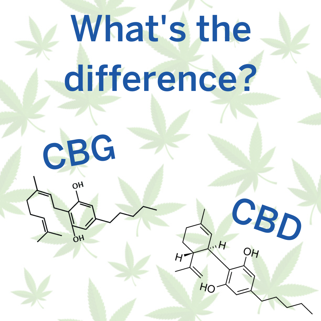 What’s the Difference Between CBD and CBG | UpTop Cannabis