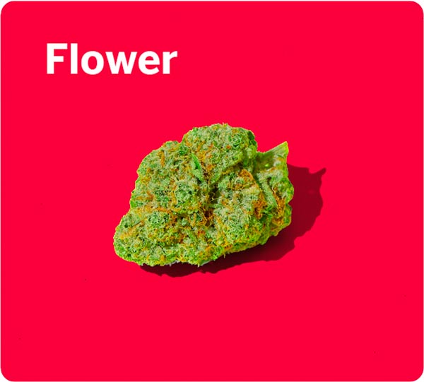 https://uptopdispensary.com/wp-content/uploads/2023/08/flower.jpg