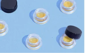 Screen-Shot-2022-08-10-at-12.16.27-PM