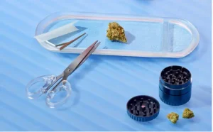 Screen-Shot-2022-08-10-at-12.16.42-PM